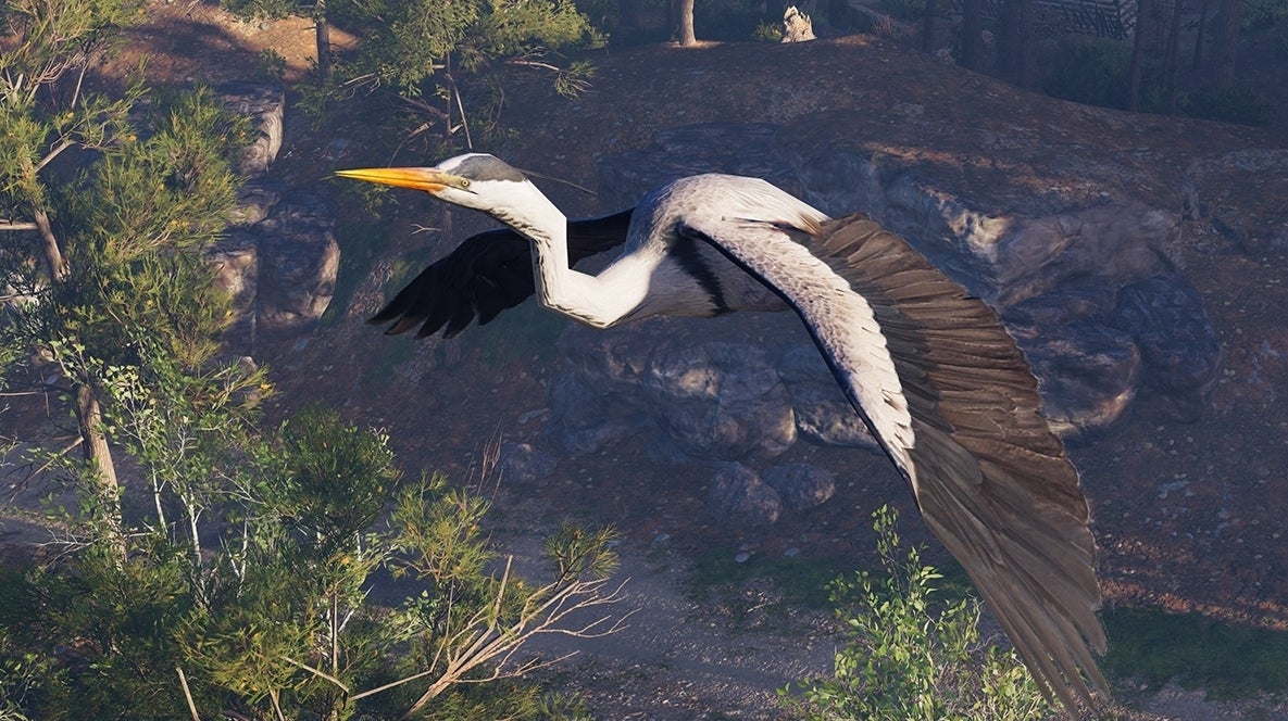Image for On birdwatching in video games