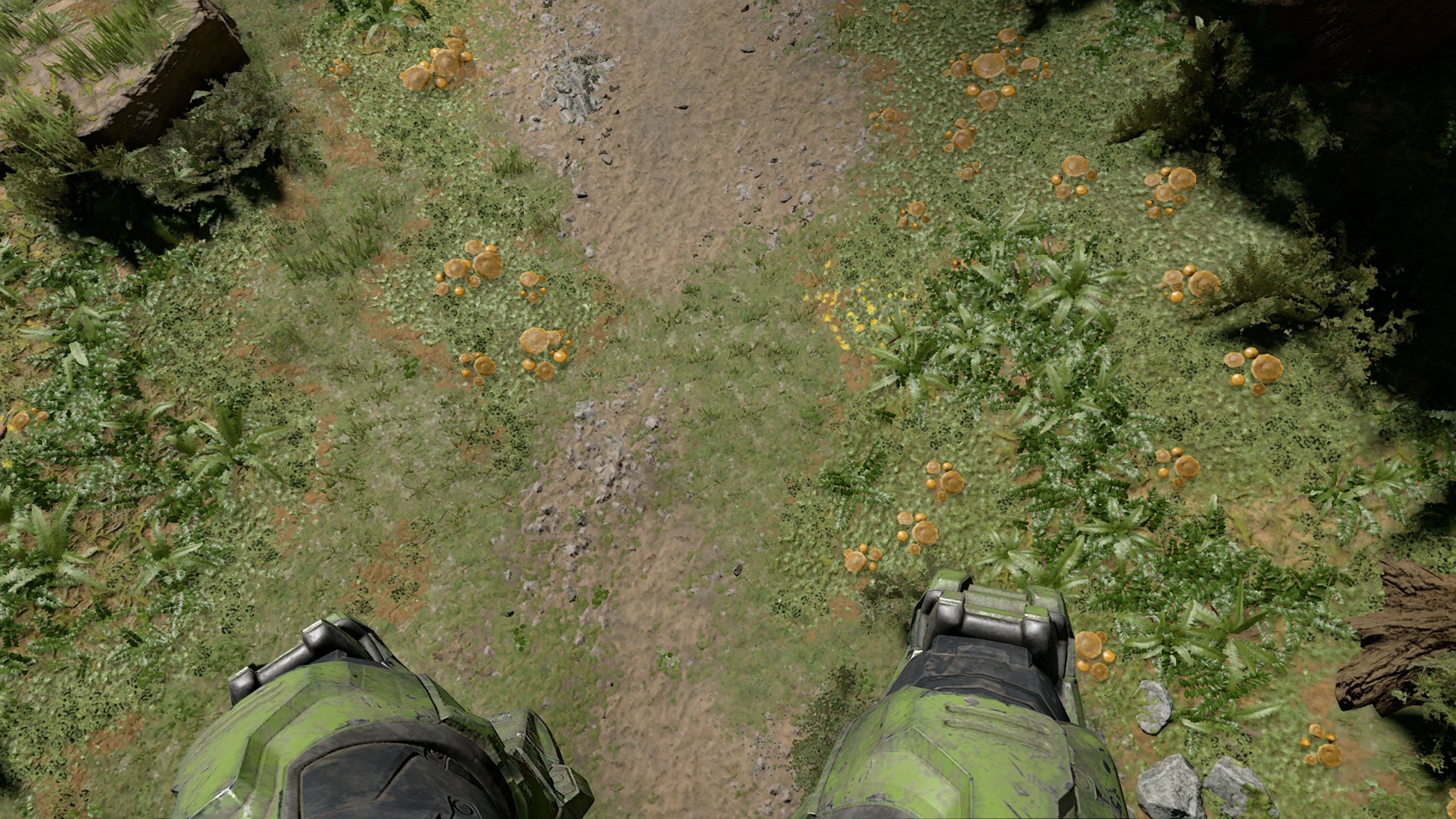 Halo Infinite campaign  the Digital Foundry analysis - 22