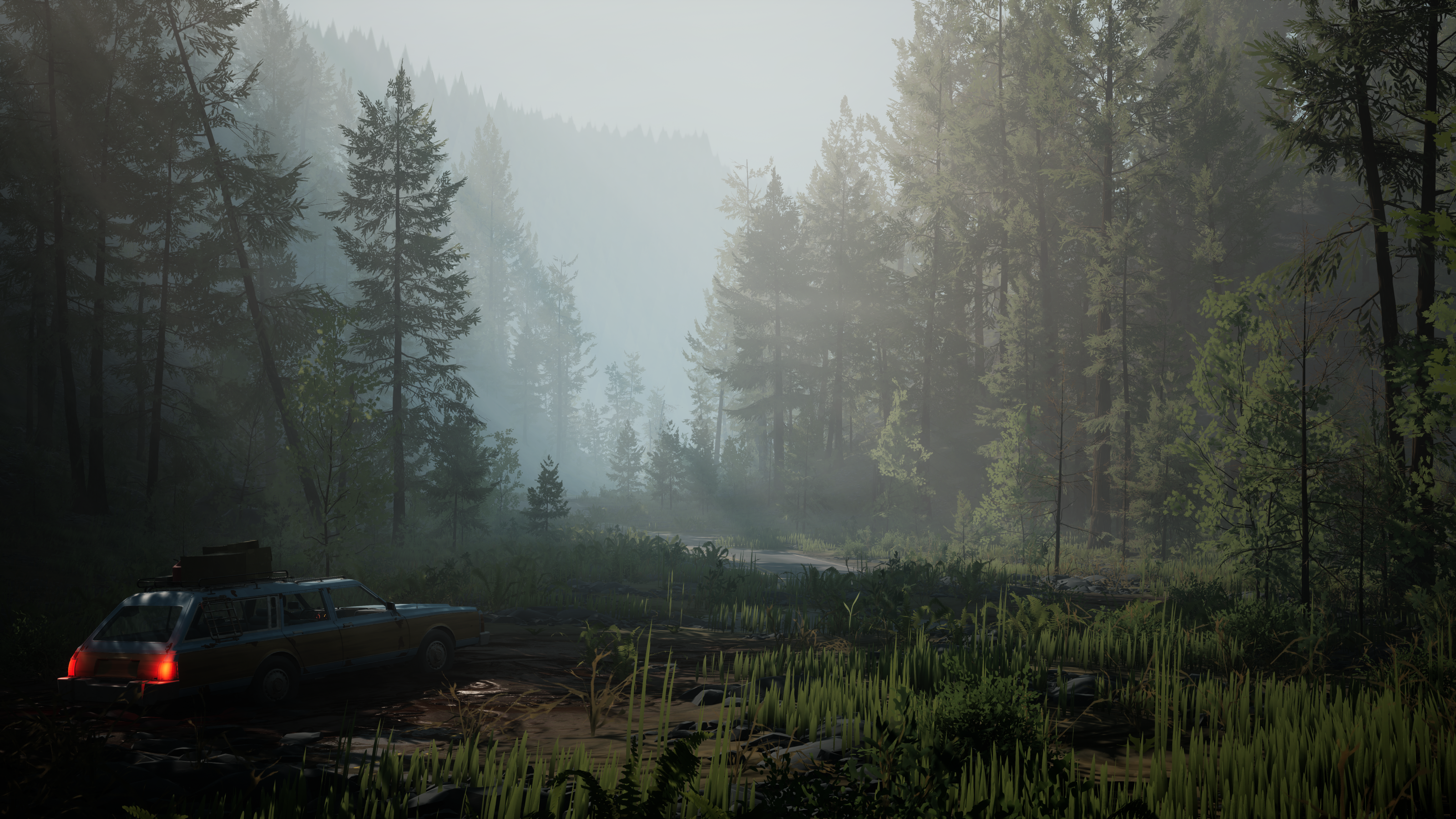Pacific Drive preview - a view of the forest, with tall pine trees and the station wagon in the foreground