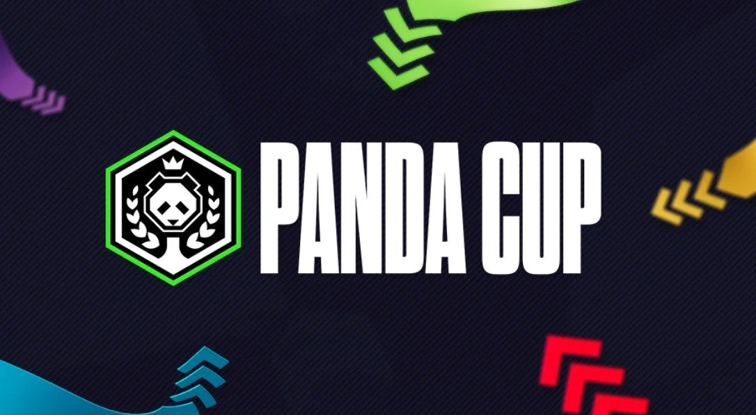 Image for Panda Global CEO removed, cup final postponed after Smash Bros esports controversy