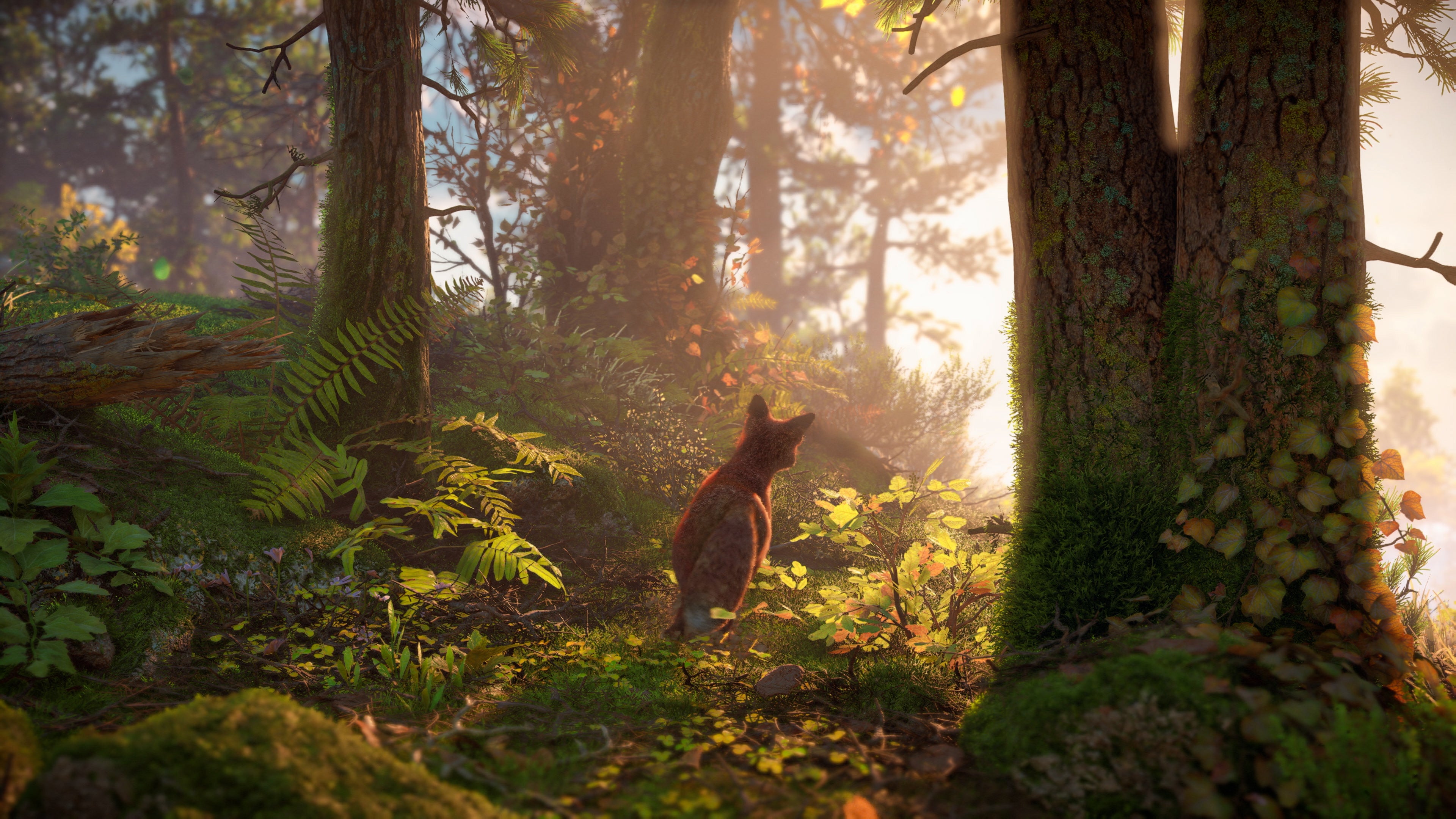 Horizon Forbidden West  how a PS5 graphics showcase scales down to PS4 - 15