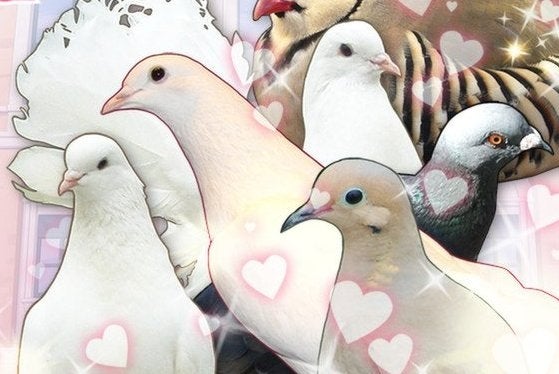 Image for Pigeon dating sim Hatoful Boyfriend gets a release date