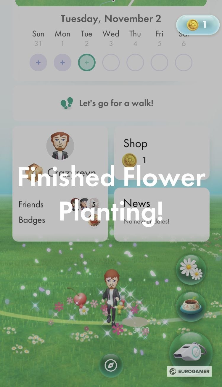 Pikmin Bloom Flowers Big Flowers How To Get Petals And Plant Flowers In Pikmin Bloom Eurogamer Net