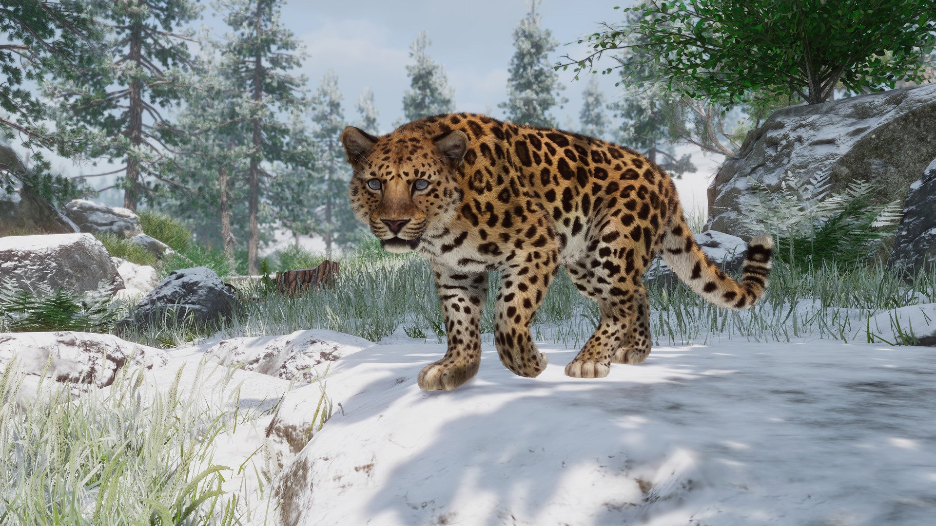 Planet Zoo adds five endangered animals in new conservation-themed DLC |  
