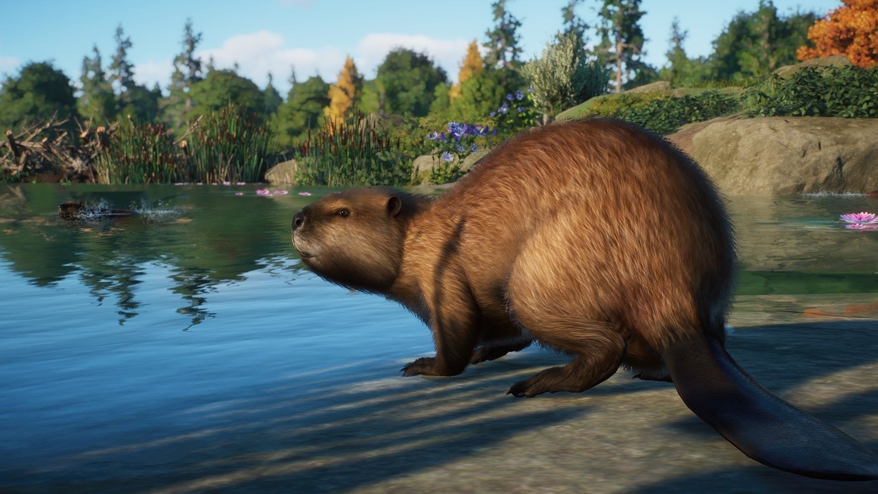 Planet Zoo gets beavers, moose, and more in next month's North America  Animal Pack DLC 