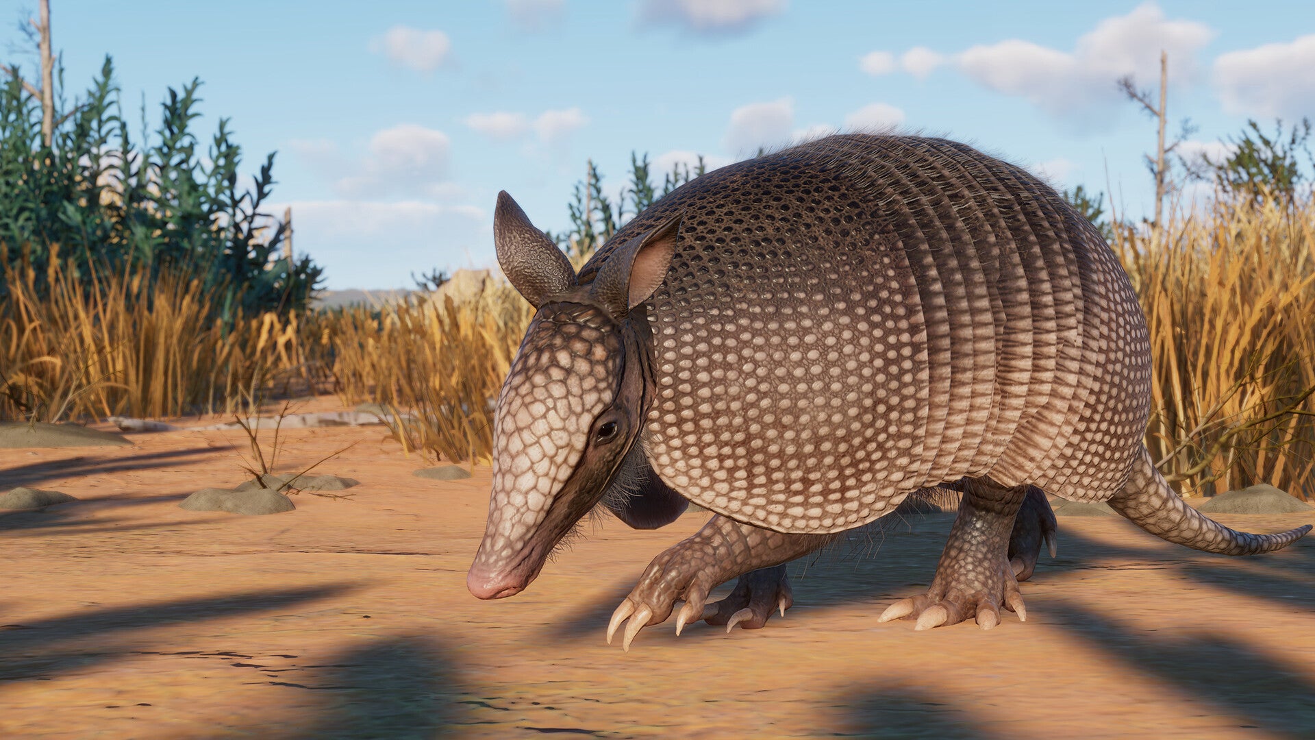 Planet Zoo adds emus, armadillos, and more in new Grasslands expansion |  