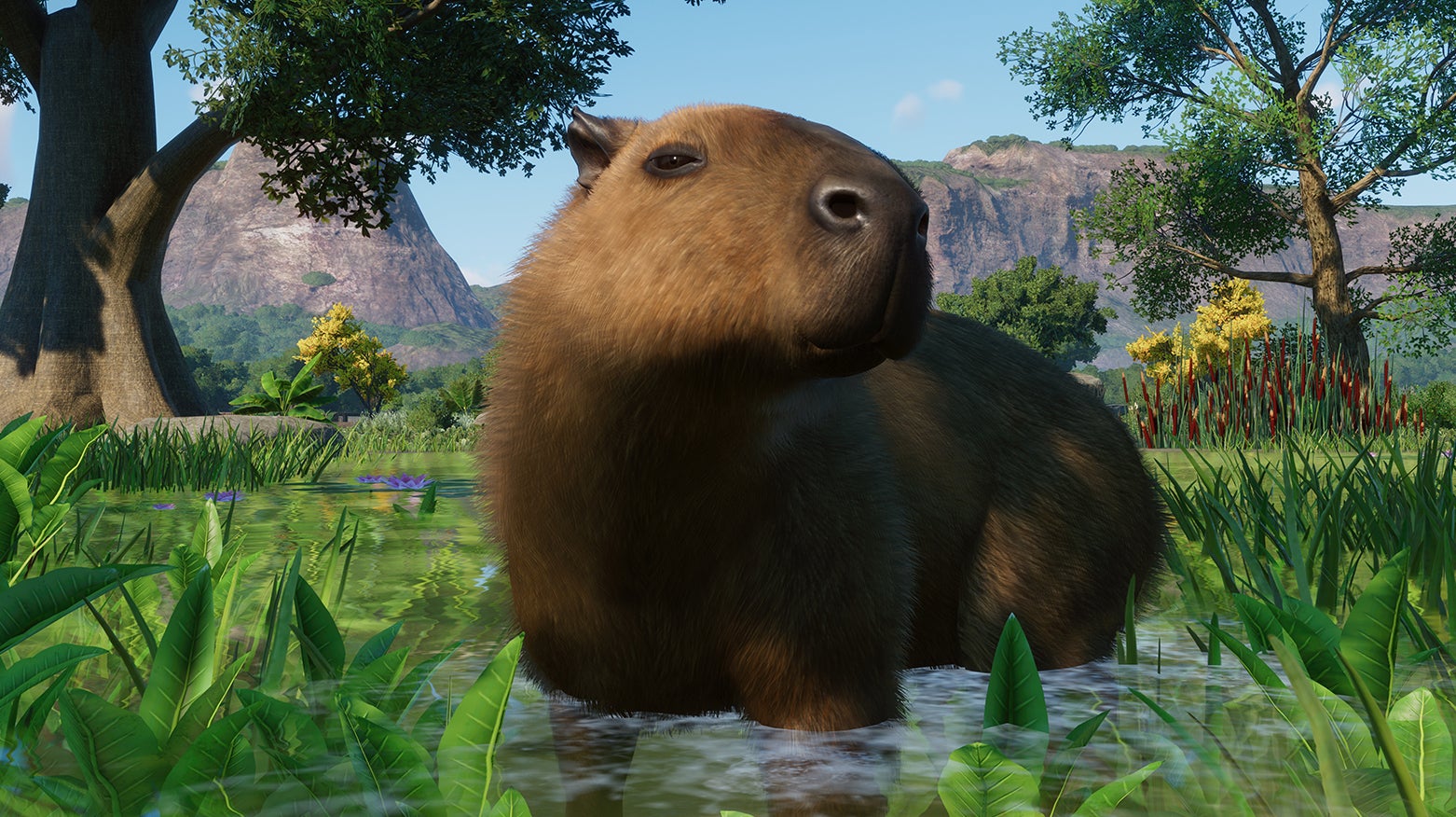 Capybara, platypus, and more coming to Planet Zoo in new Wetlands DLC |  