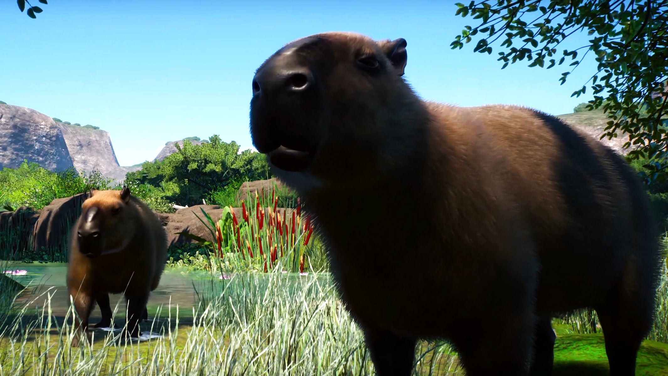 Bilder zu Planet Zoo: Neuer DLC beschert euch Capybaras, Klauenotter und andere Tiere