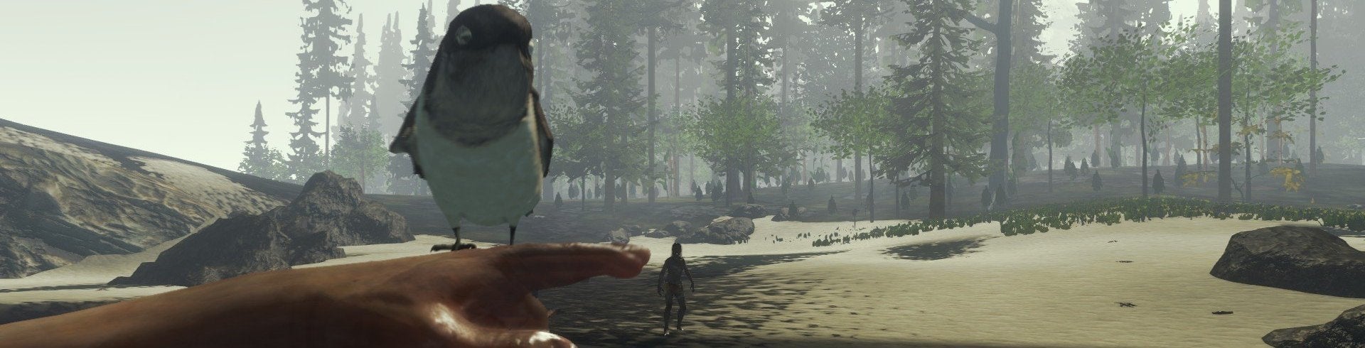 Image for Půlhodina z rozehrání populárního The Forest
