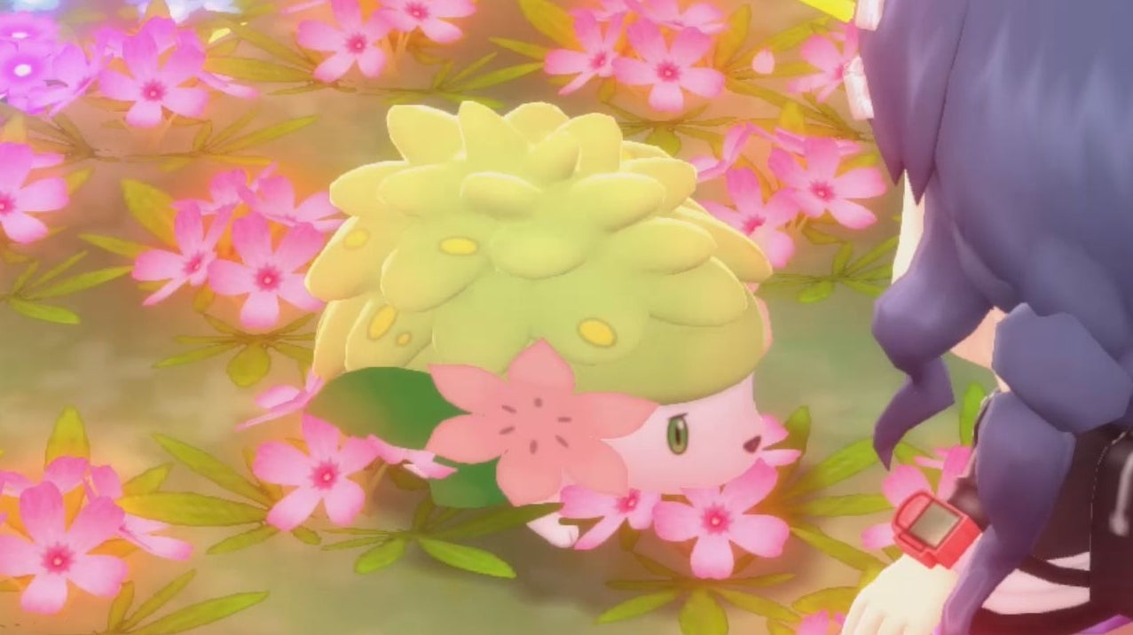 Image for How to get Shaymin and Oak's Letter in Pokémon Brilliant Diamond and Shining Pearl