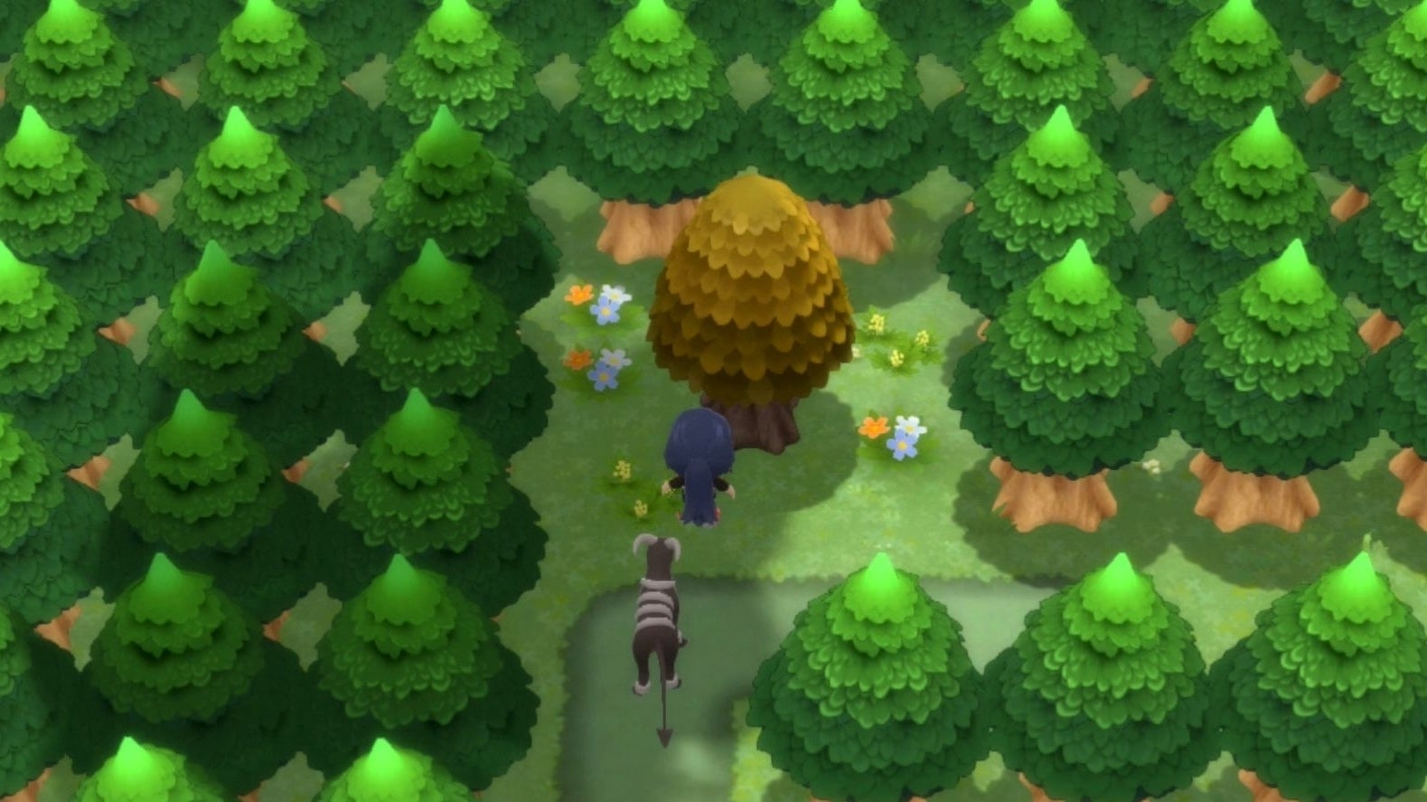 Imagen para Pokémon Diamante Brillante y Perla Reluciente - Árboles de Miel: dónde están, qué Pokémon aparecen y cuánto hay que esperar
