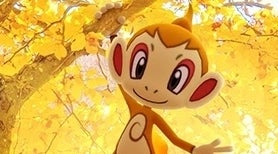 Imagem para Pokémon Go - Dia Comunitário de Novembro - Datas, Horários, Chimchar Shiny