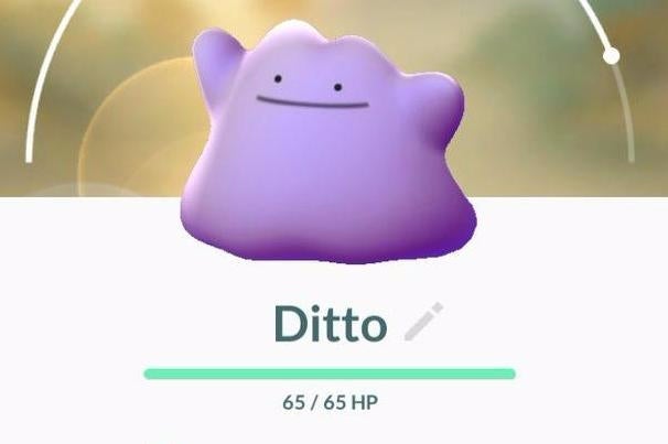 Afbeeldingen van Pokémon Go Ditto: hoe Ditto vangen, shiny Ditto en welke Pokémon Ditto kunnen zijn uitgelegd