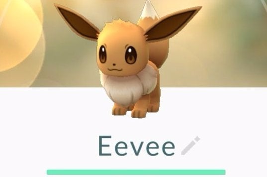 Afbeeldingen van Pokémon Go Eevee - Evolueren naar Sylveon, Leafeon, Glaceon, Umbreon, Espeon, Vaporeon, Jolteon en Flareon