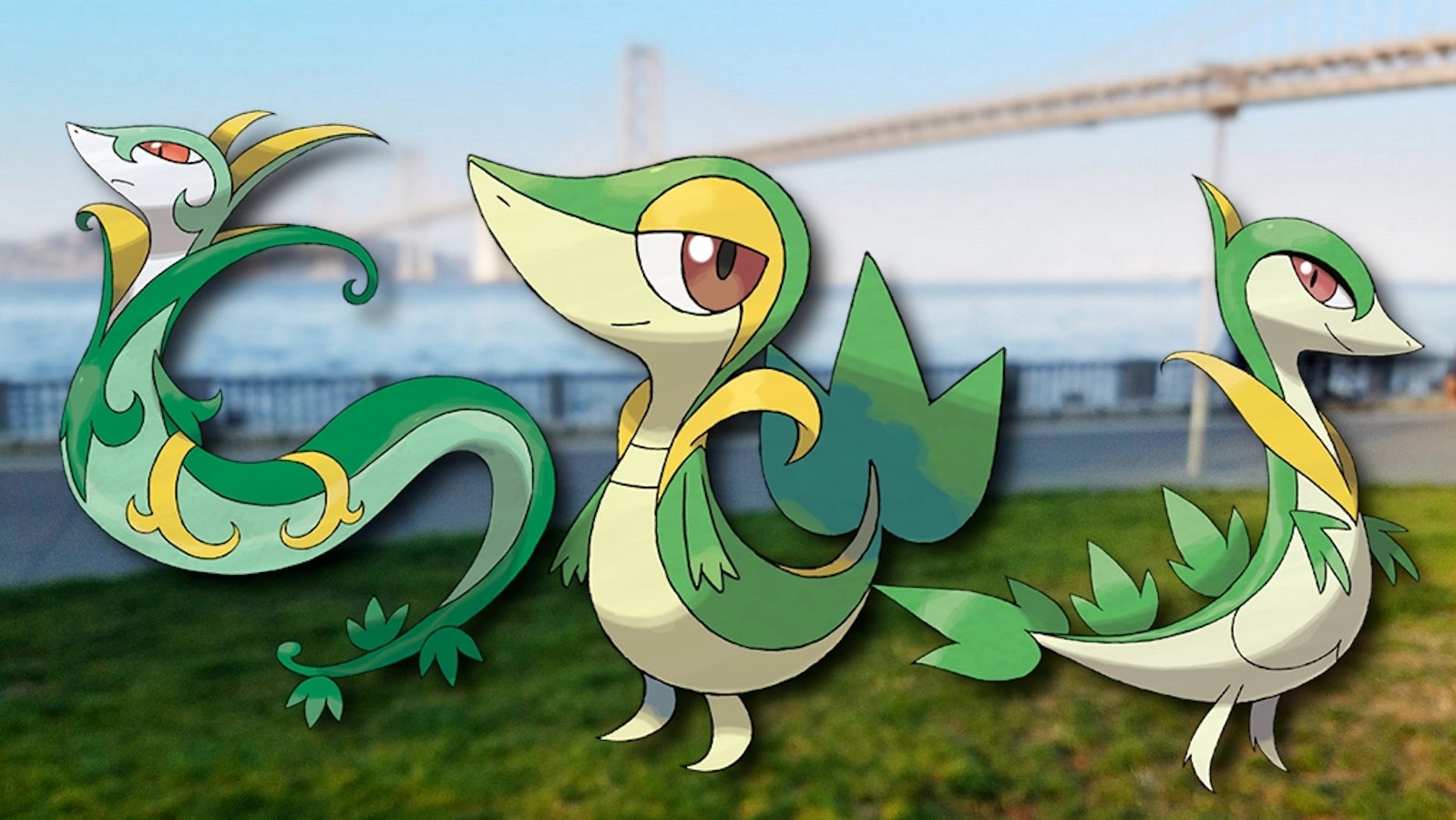 Pokémon Go Serpifeu Community Day Alle Infos zum Event und wie ihr die Forschung löst Pokémon Go Serpifeu Community Day Alle Infos zum Event und wie ihr die Forschung löst