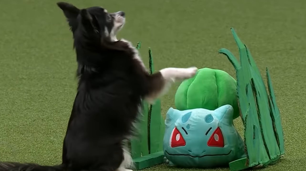 Image for Pokémon has come to Crufts