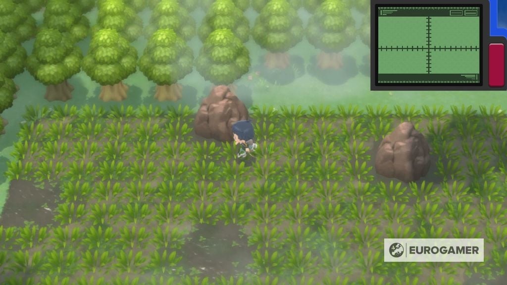 Pok mon Brilliant Diamond and Shining Pearl  Great Marsh daily spawns explained and whether to throw bait or mud - 34