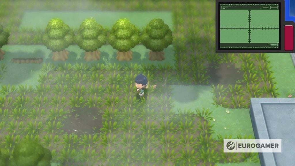Pok mon Brilliant Diamond and Shining Pearl  Great Marsh daily spawns explained and whether to throw bait or mud - 15