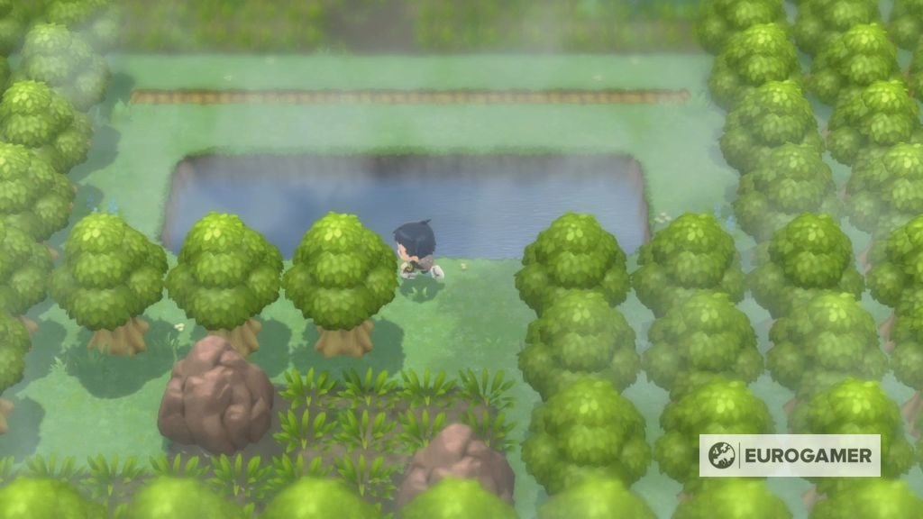Pok mon Brilliant Diamond and Shining Pearl  Great Marsh daily spawns explained and whether to throw bait or mud - 80