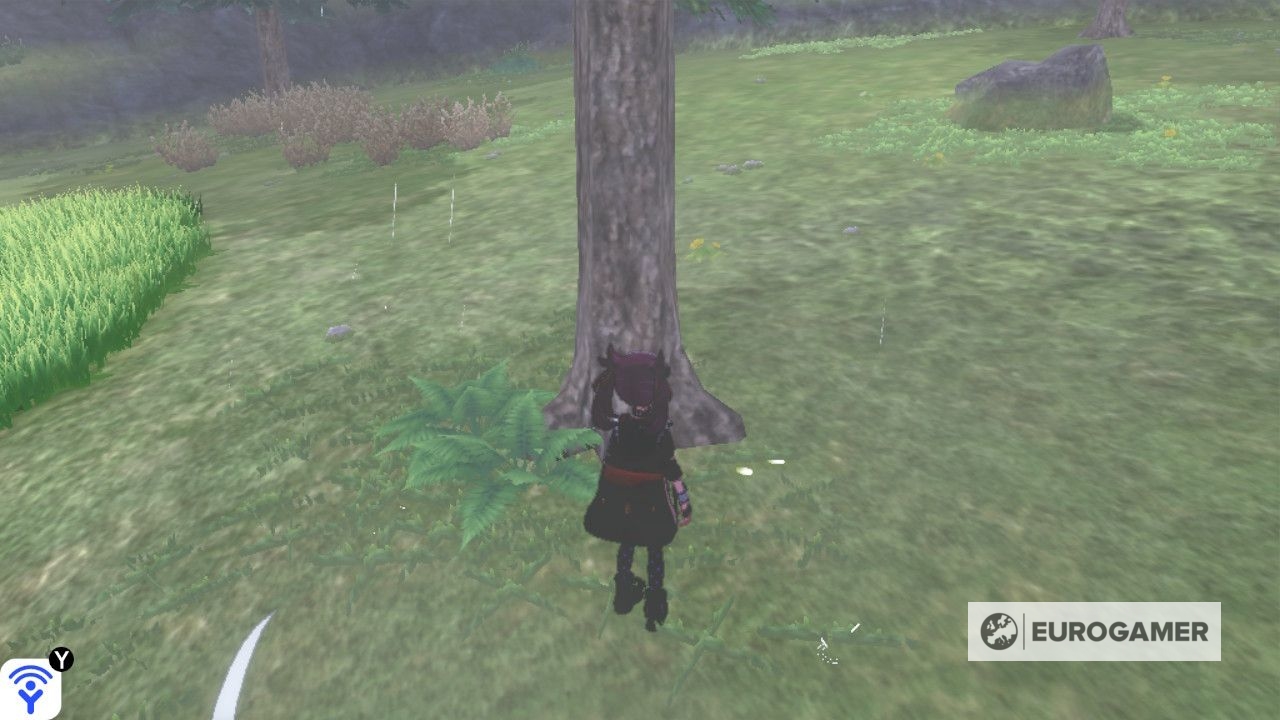 Pokémon Crown Tundra Footprints How to find Cavern Grasslands and Iron