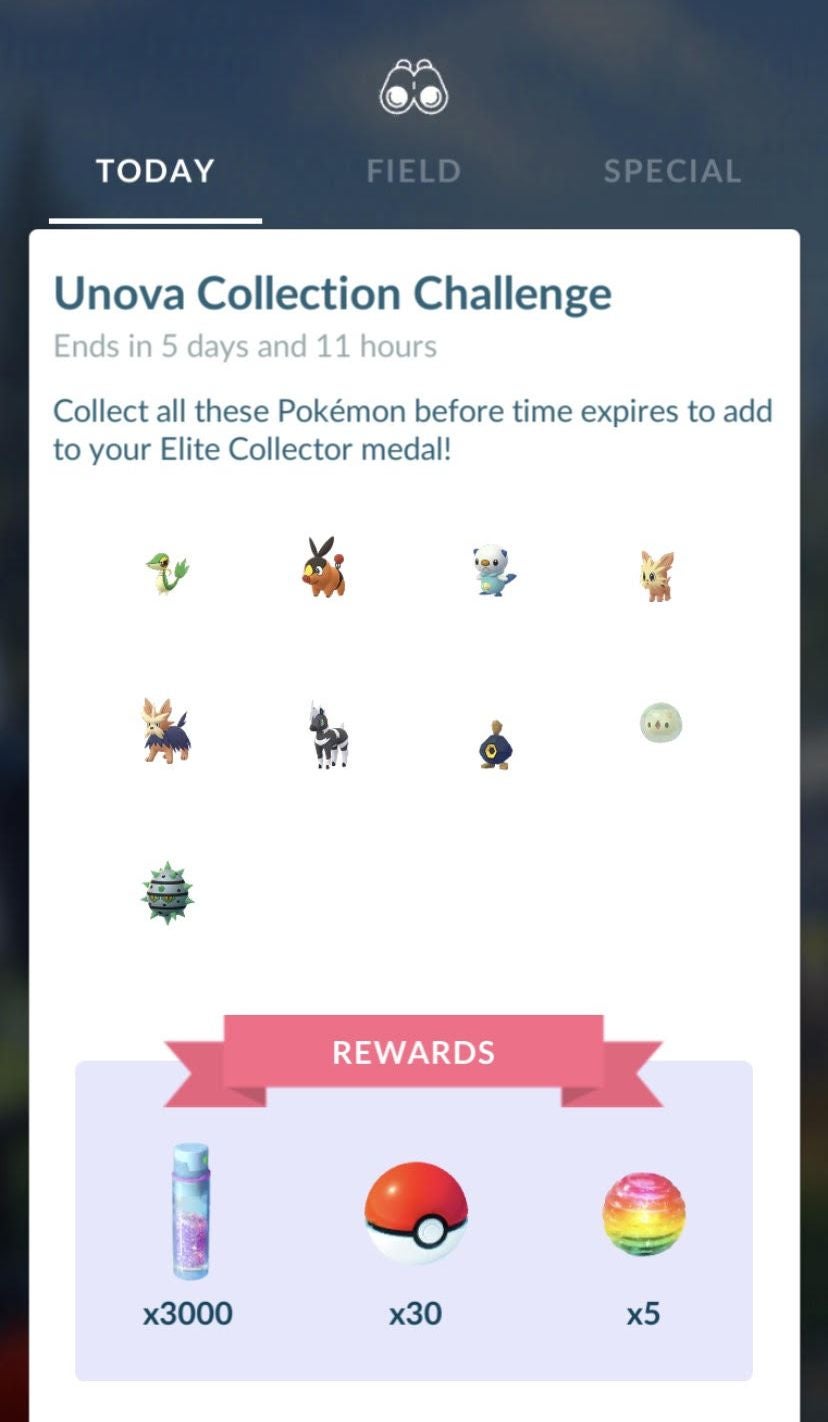 Pok mon Go Pallet Town Collection Challenge  How to find Bulbasaur  Charmander and Squirtle explained - 72