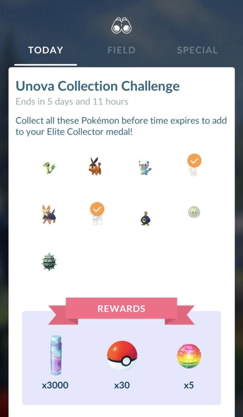 Pok mon Go Pallet Town Collection Challenge  How to find Bulbasaur  Charmander and Squirtle explained - 31