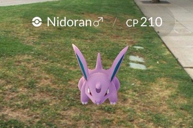 Imagem para Pokémon Go - Como saber onde os Pokémons fazem spawn, encontrar biomas e usar radares
