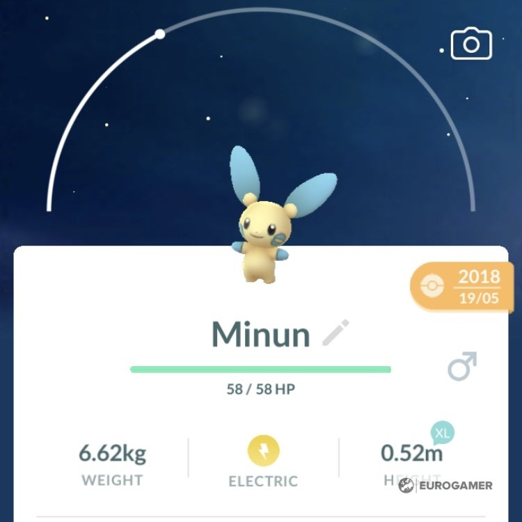 Minun 100  perfect IV stats  shiny Minun in Pok mon Go - 74