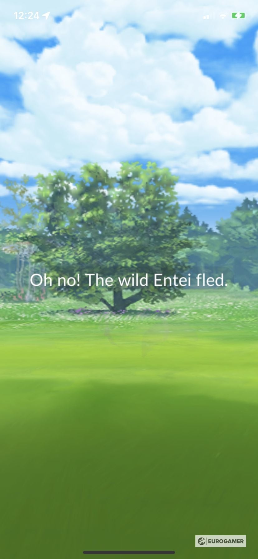 How to get Raikou  Entei and Suicune in Photo Safari in Pok mon Go - 77