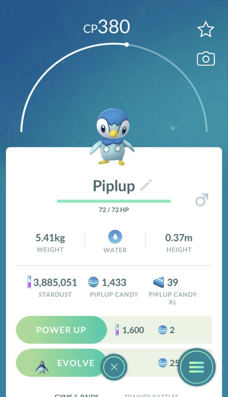 Piplup 100  perfect IV stats  shiny Piplup in Pok mon Go explained - 53