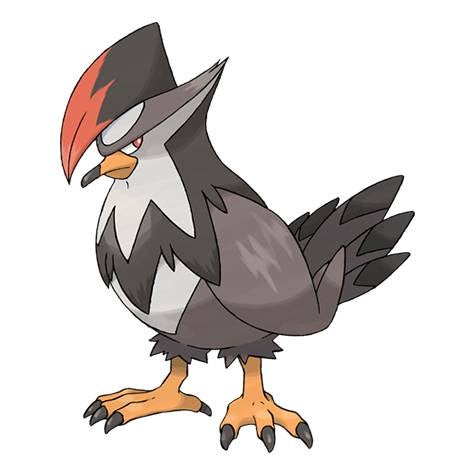 Shiny Starly  evolution chart  100  perfect IV stats and Staraptor best moveset in Pok mon Go - 91