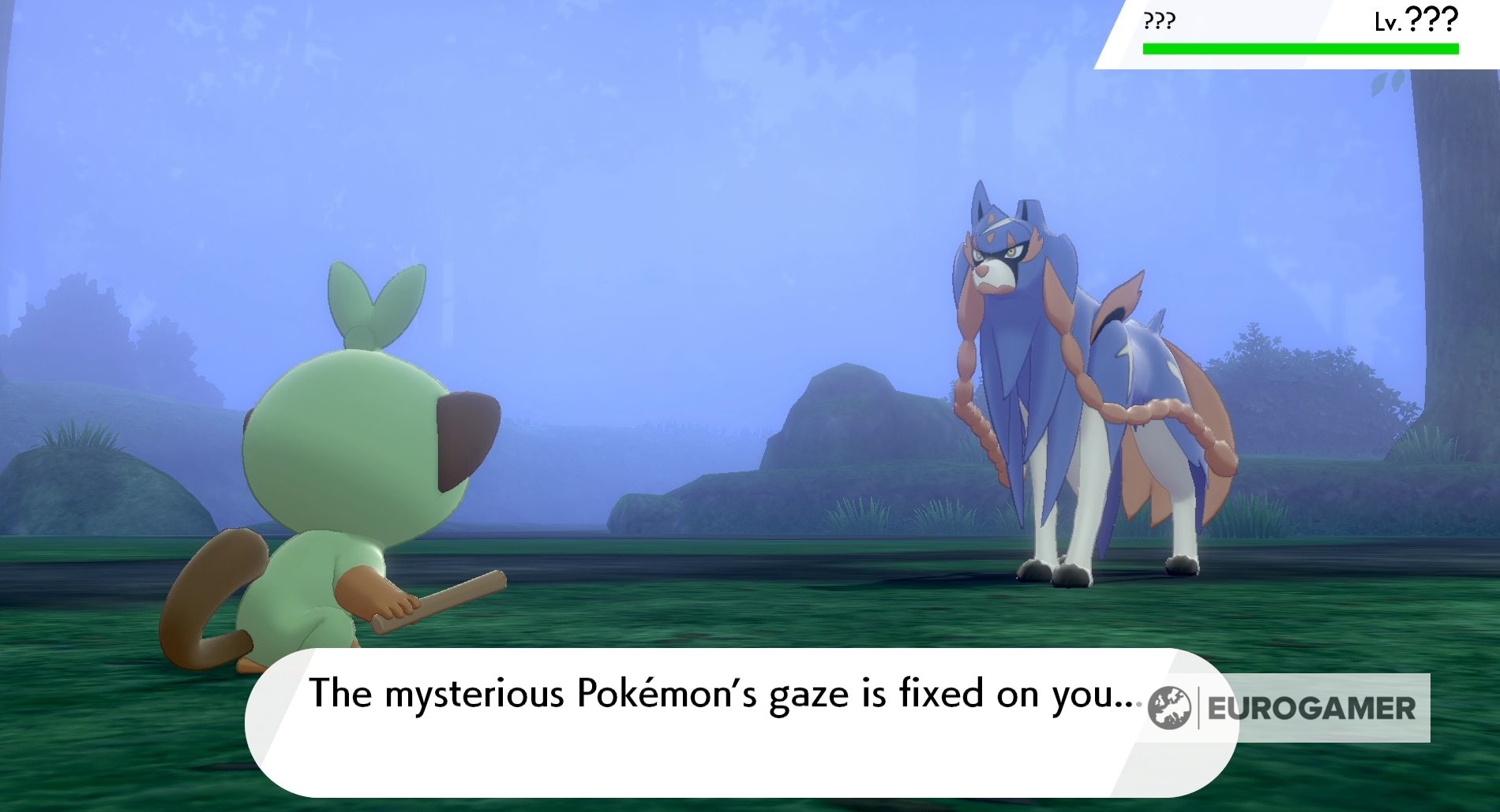 Pokémon Sword and Shield  Pokémon explained What is the mysterious Pokémon in the early game