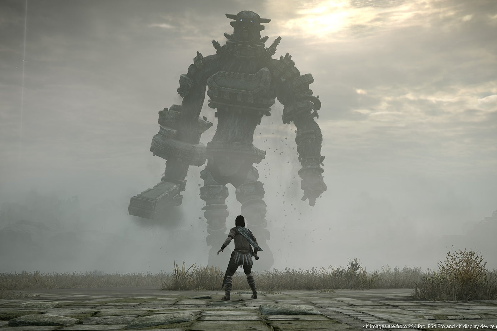 Image for PS4 exclusive Shadow of the Colossus tops chart