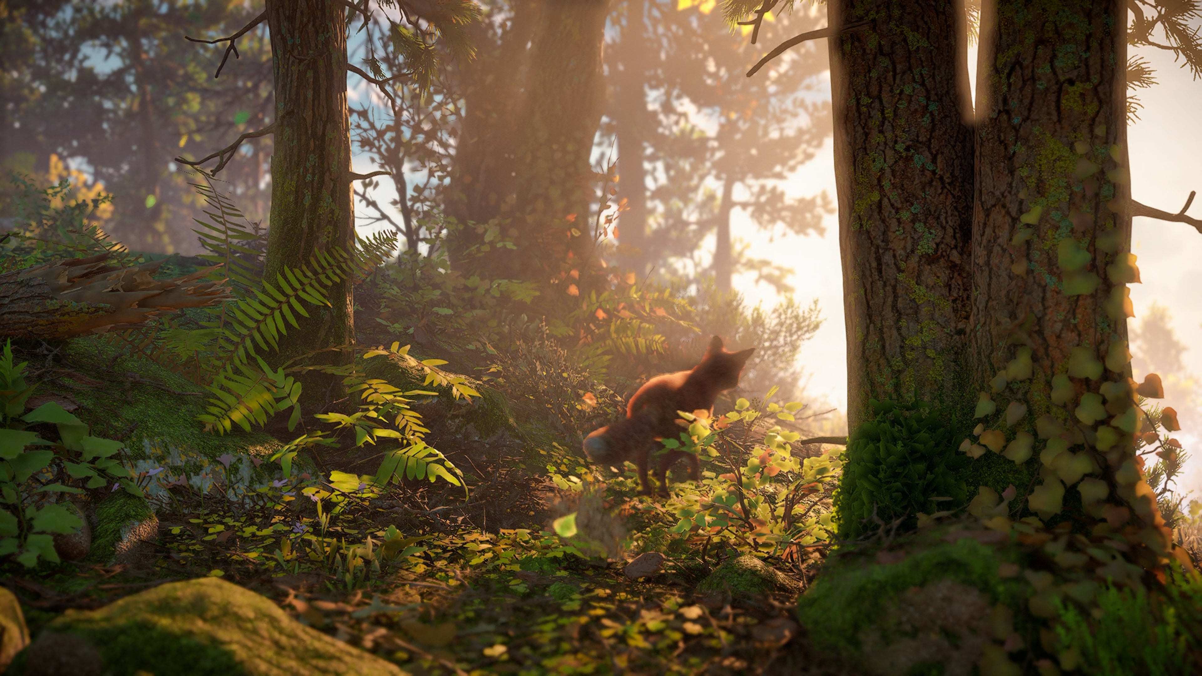 Horizon Forbidden West  how a PS5 graphics showcase scales down to PS4 - 39