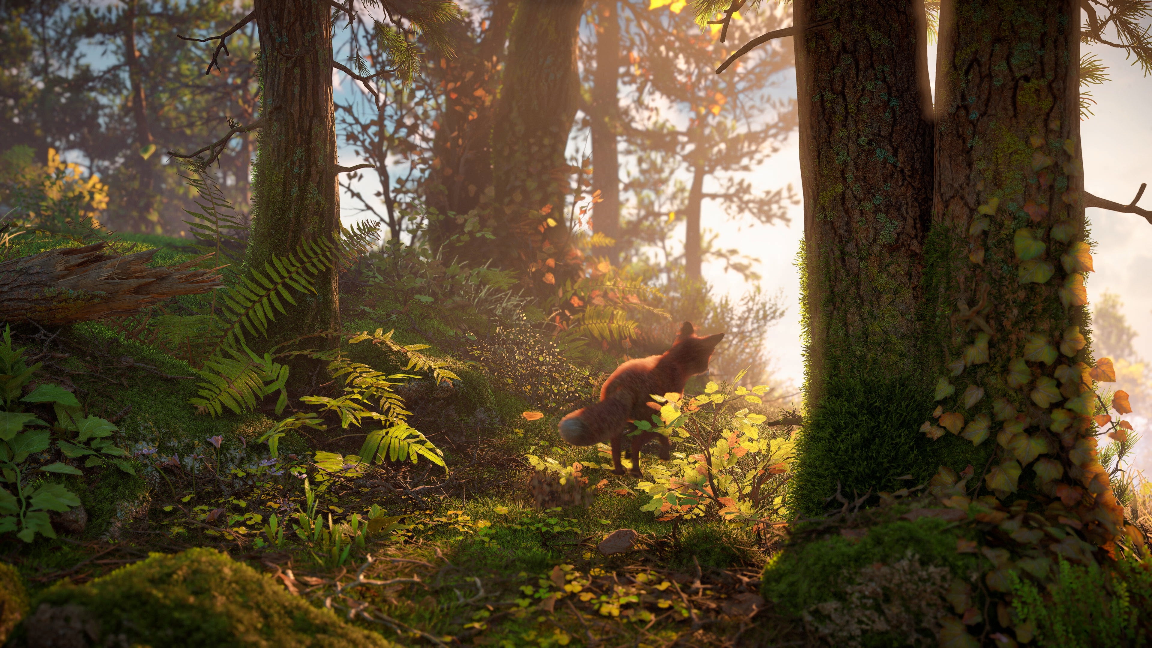 Horizon Forbidden West  how a PS5 graphics showcase scales down to PS4 - 97