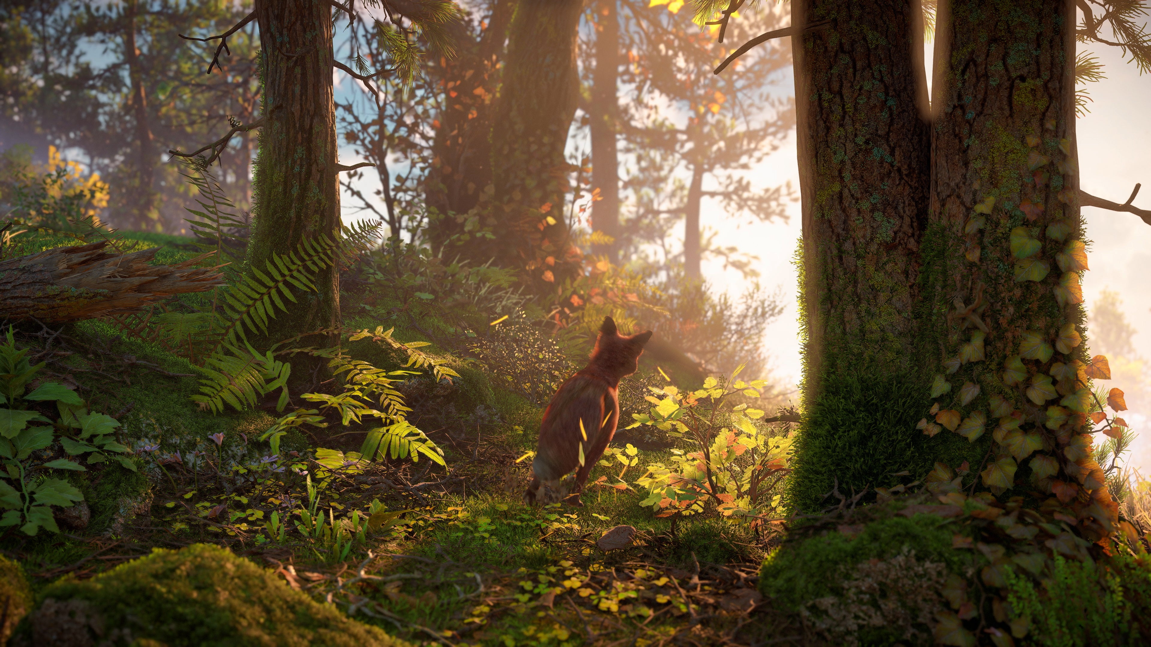Horizon Forbidden West  how a PS5 graphics showcase scales down to PS4 - 66