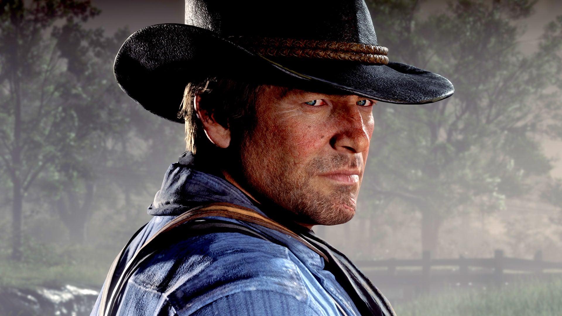 Image for Red Dead Redemption 2 Stadia vs Xbox One X vs PC Analysis!