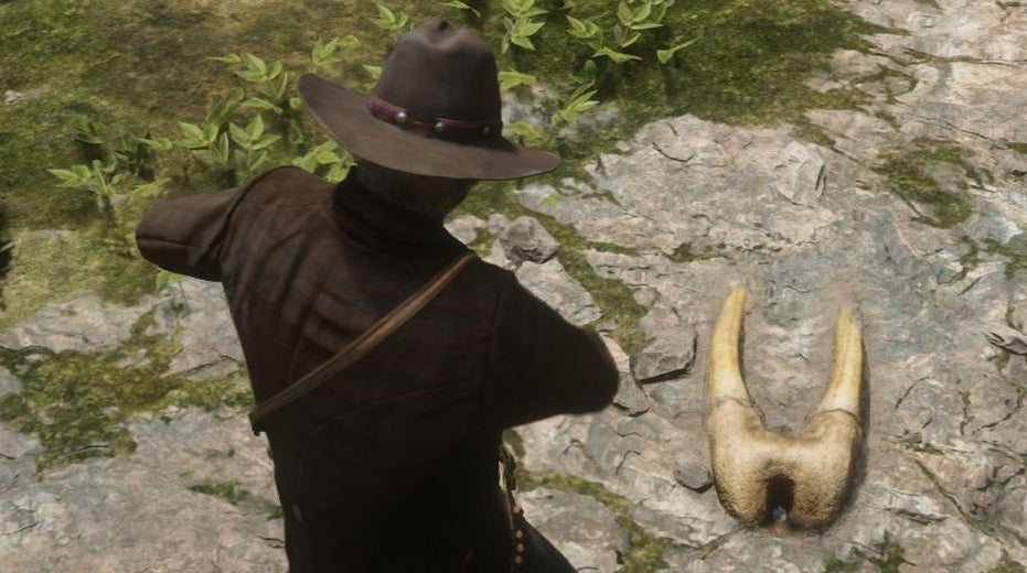 Image for Red Dead Redemption 2 Dinosaur Bone locations