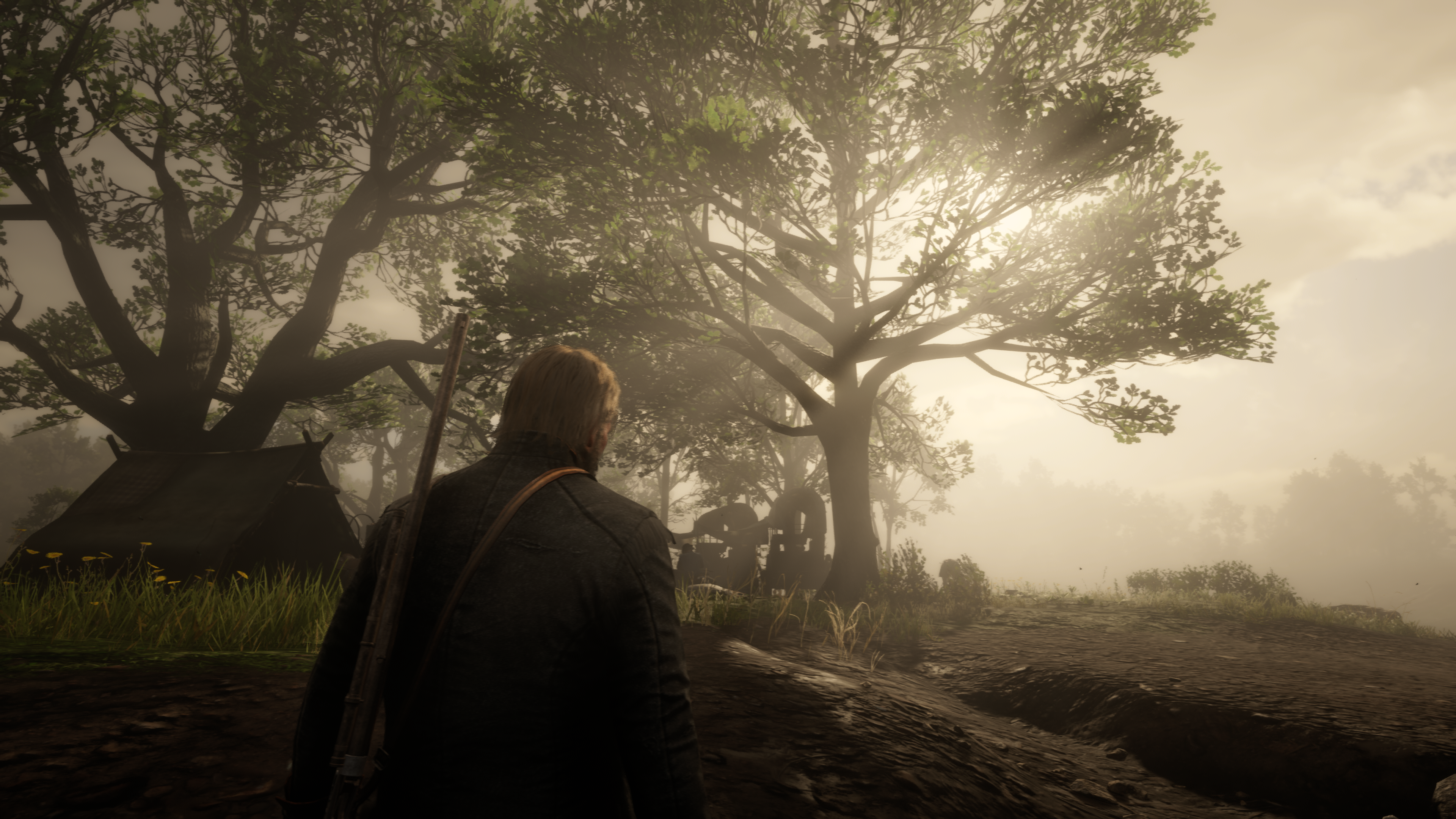 Image for Michael Pachter: Red Dead Redemption 2 vyjde na PlayStation 5 a nový Xbox, na PC možná v dubnu