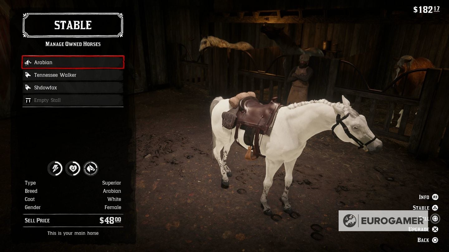 Rdr 2 карта лошади