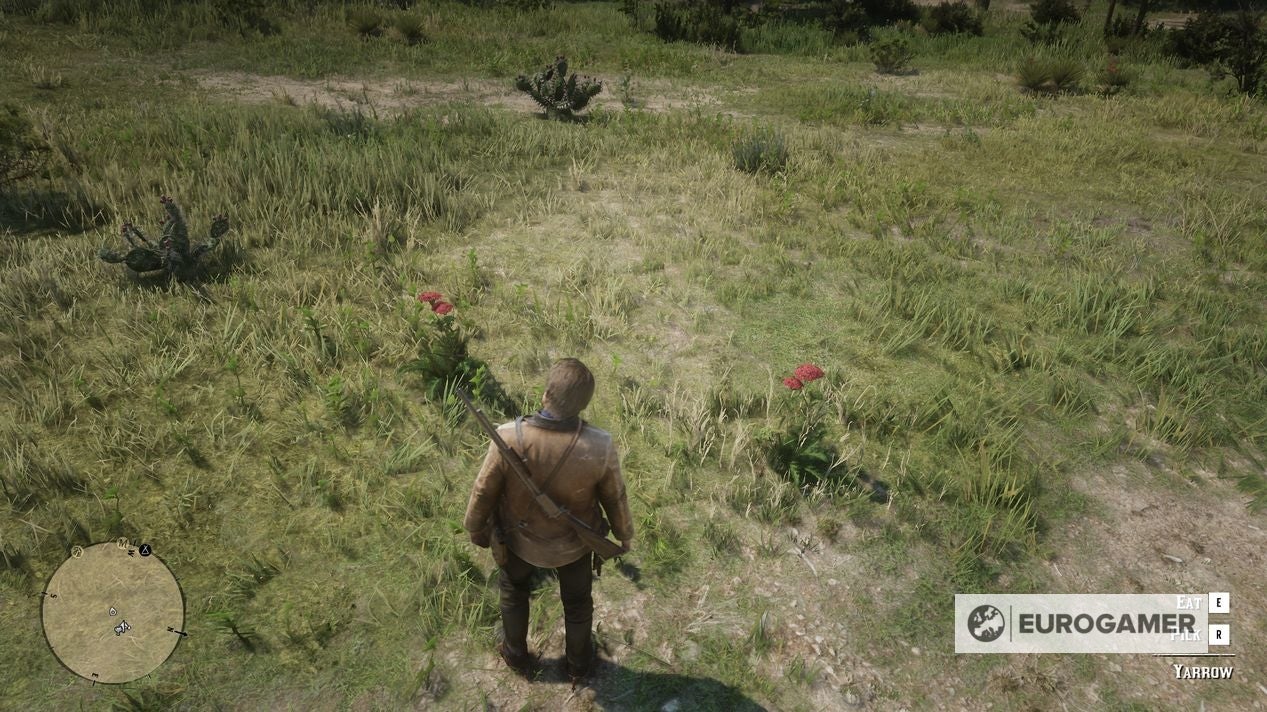 Red Dead Redemption 2 The Ends of the Earth mission explained - 54