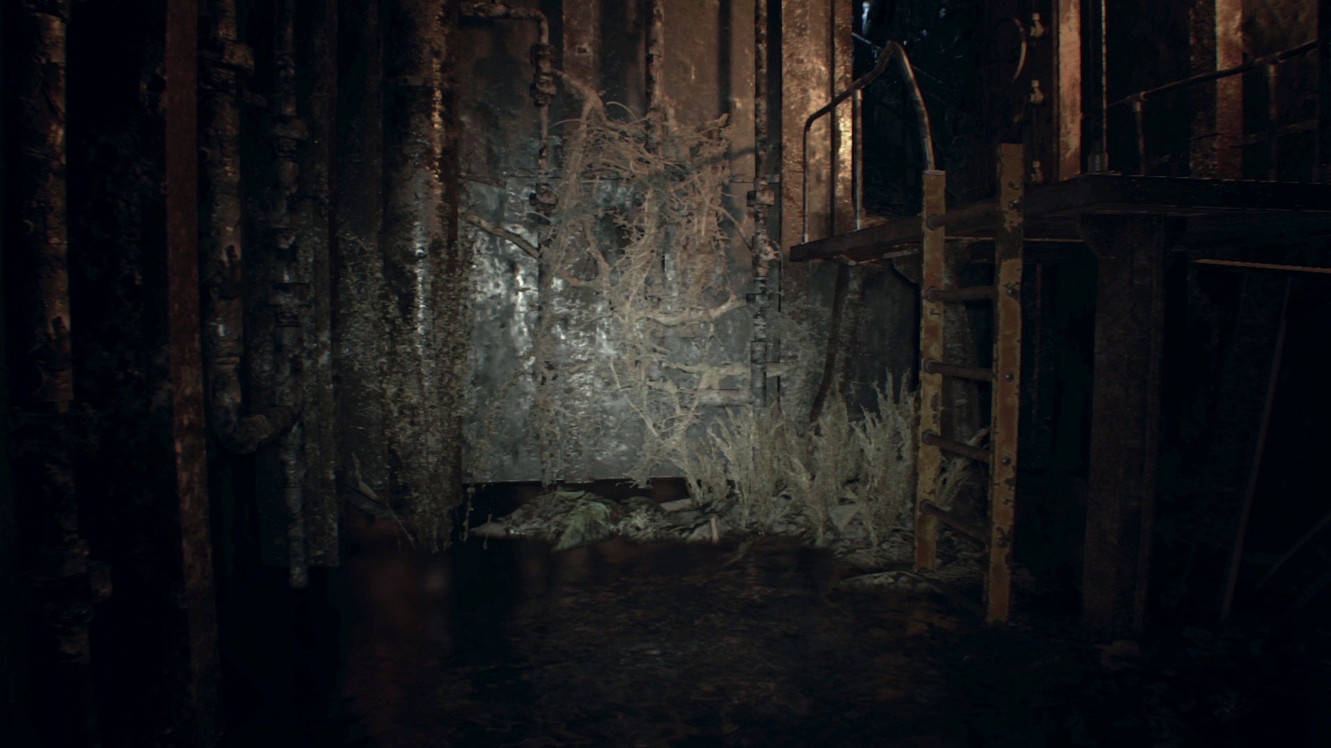 Resident Evil 7 Antique Coins locations on Normal and Easy difficulties - 33