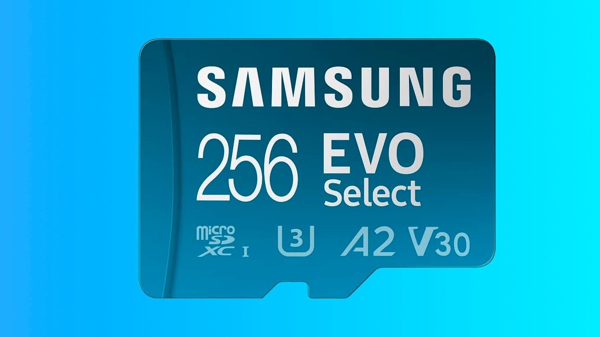 Image for Check out this excellent Samsung 256GB MicroSD card deal from Amazon