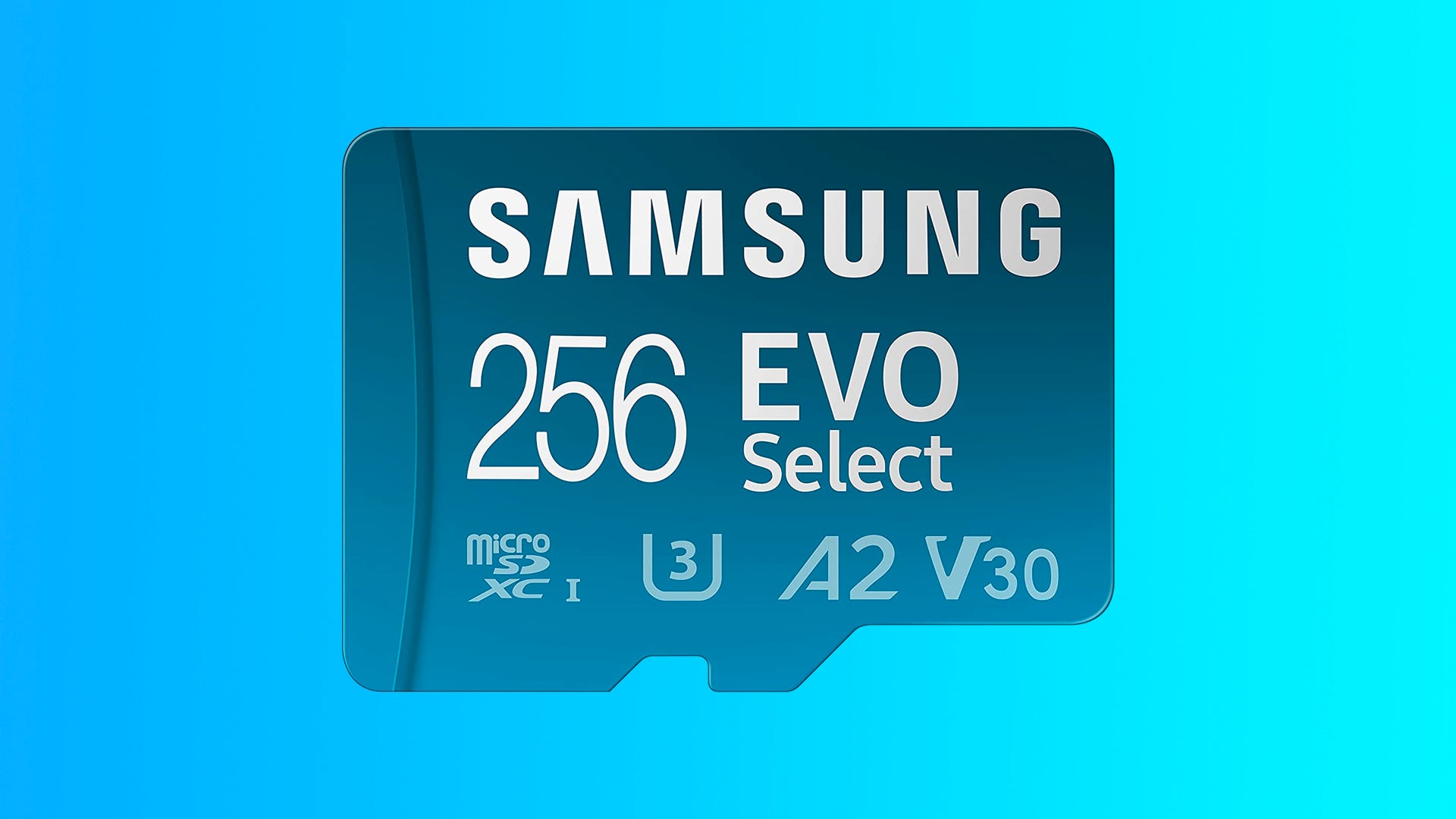 Image for In need of a real last minute Christmas gift? This Samsung 256GB microSD card is ?18 at Amazon