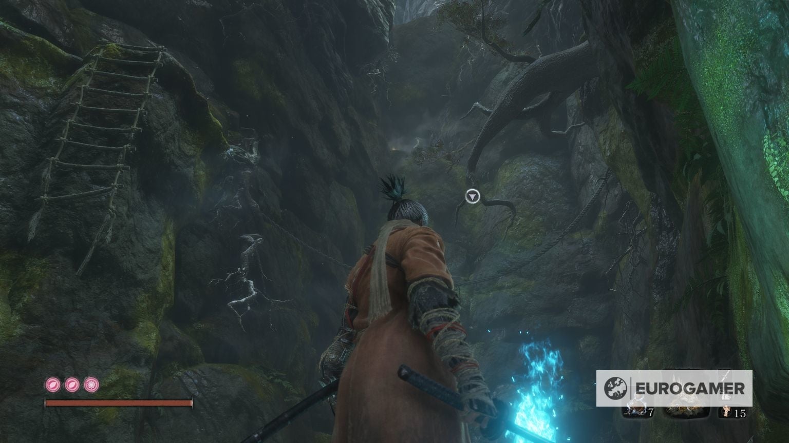 Sekiro Snap Seed locations   all Snap Seeds and how to find and use them - 41