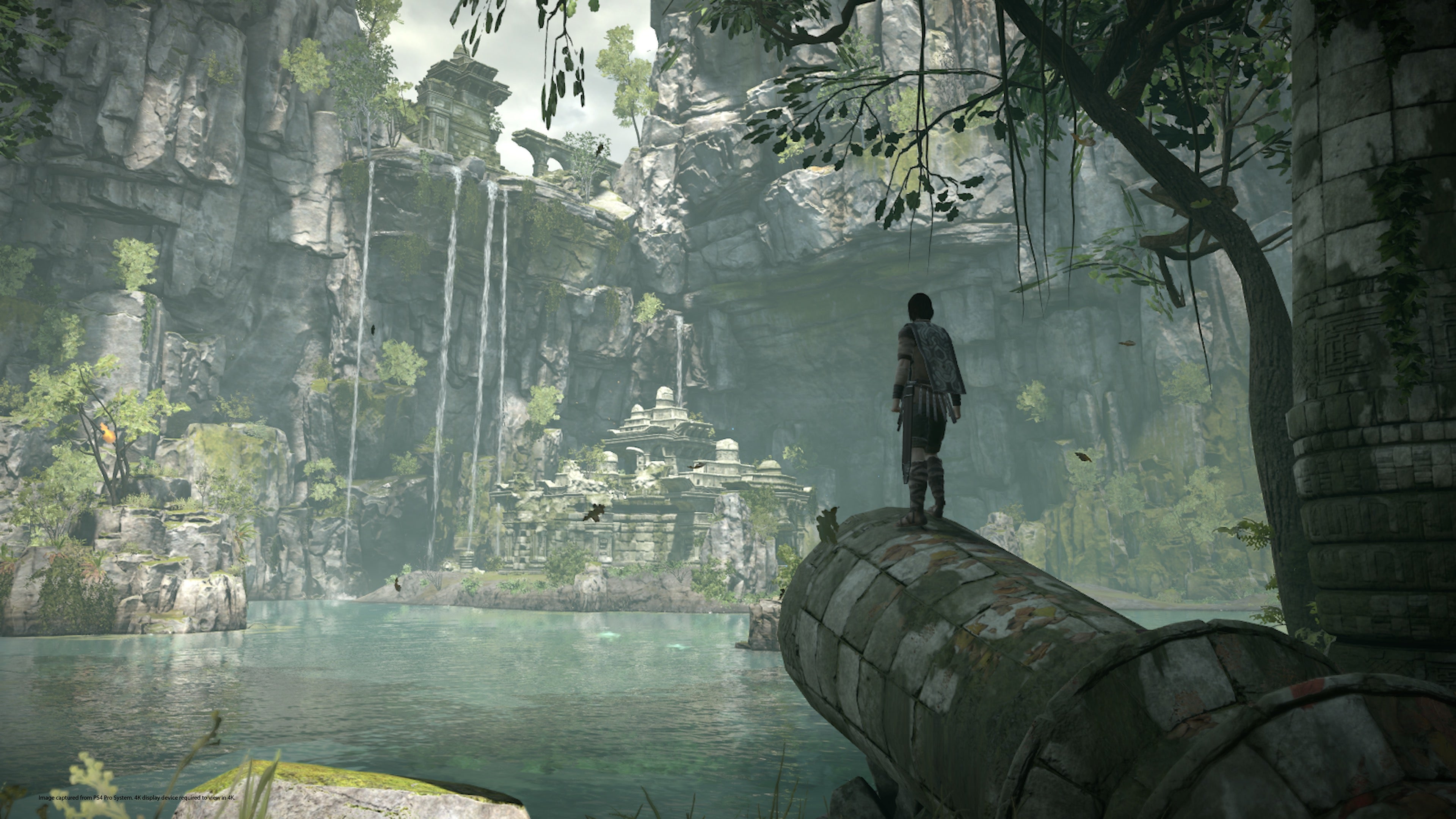 Image for Shadow of the Colossus Bluepoint Tech Interview