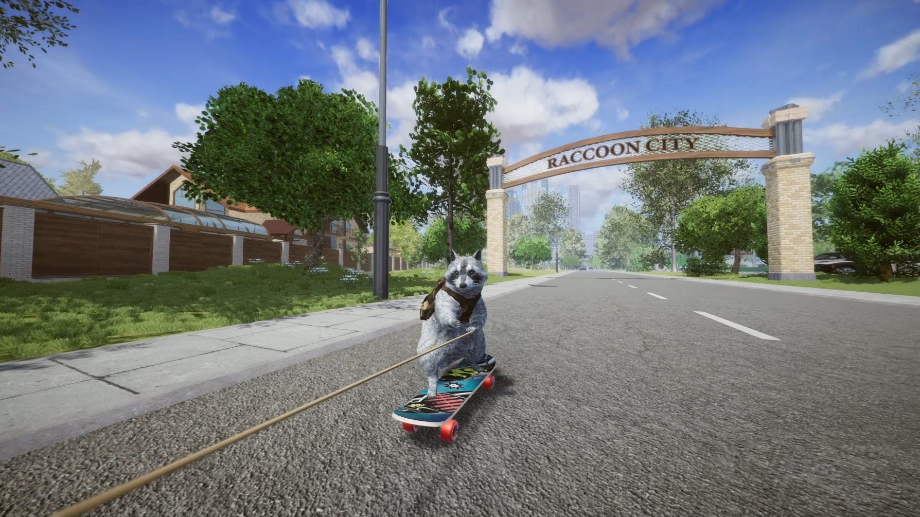 skateboarding raccoon