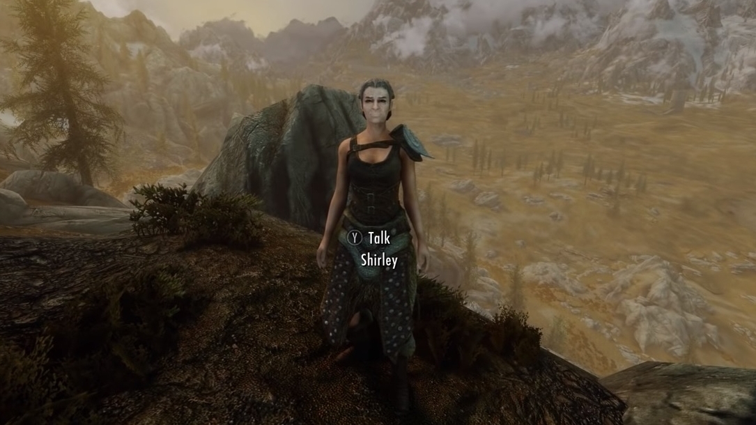 skyrim npc editor in game