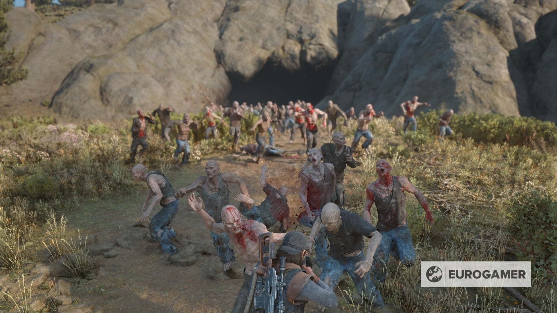 Как уничтожить орду в days gone
