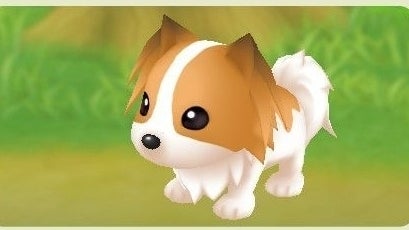 Story of Seasons Pets: Where to buy pets, Friendship Level and fetch in  Friends of Mineral Town explained 
